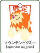 }EesO~[